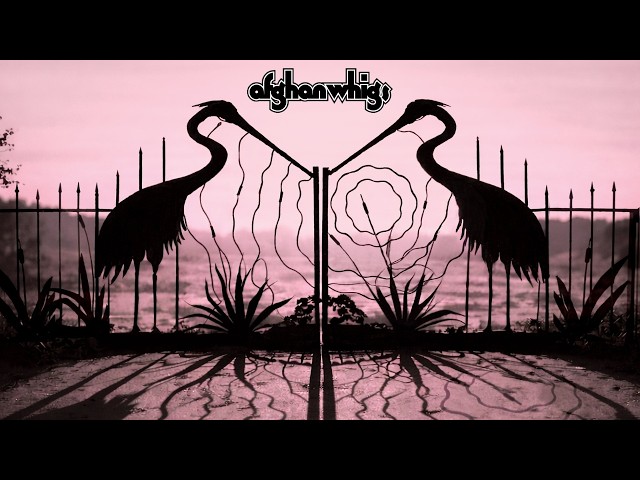 youtube play