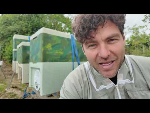 How To Do A Full Beehive Inspection - Complete Walkthrough For Beginners