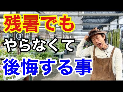 9月の3つの最も重要なガーデニング作業