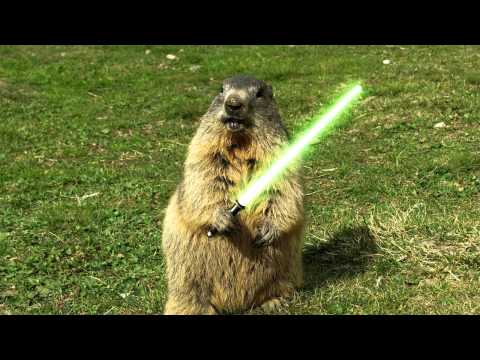 DoBo Project - Świstak Dance remix