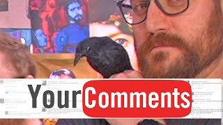 Red State Raven - Funhaus Comments #148 (Open Haus Edition)