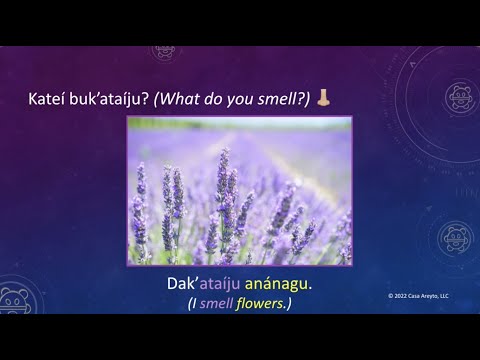 Let's Talk Taíno 50 - Sense of Smell 👃🏼🌹😌