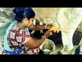 বৌদির হাত পানাই করে গাভীর দুধ দোহন Cow Milki