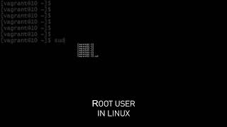 Changing to Root User in Linux