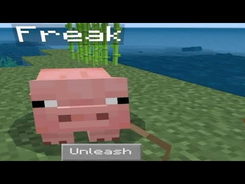 Shitpost compilation 26 (exam special)