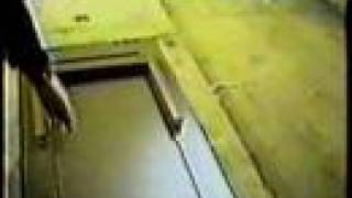 Aus Rotten - Do You Know Where Your Children Are? - Live