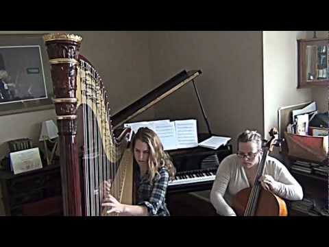 My Hope Is In You by Aaron Shust Arranged for Harp & Cello by Nichole Rohrbach and Noelle Bryant