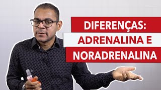Difference Between Adrenaline and Noradrenaline (Practically Explained!)