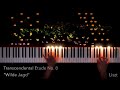 Liszt - Transcendental Etude no. 8 "Wilde Jagd"