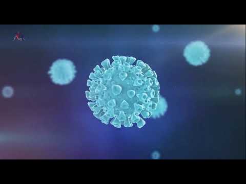 Due Monti Abano Ringrazia e Augura a Tutti TANTI AUGURI di BUON NATALE  e di FELICE ANNO NUOVO!!!