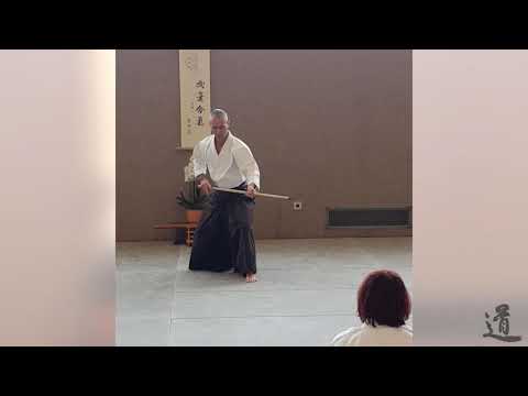 Traditional Aikido Europe - THE ARMS AND THE CENTRE - Lewis Bernaldo de Quiros