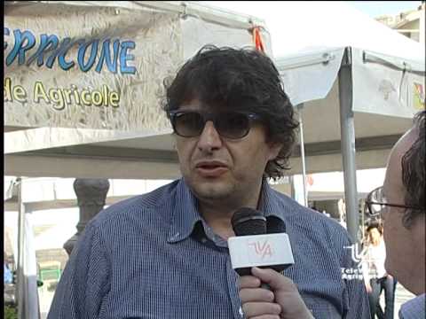 speciale  SAGRA DELLE CILIEGE  CHIUSA SCLAFANI