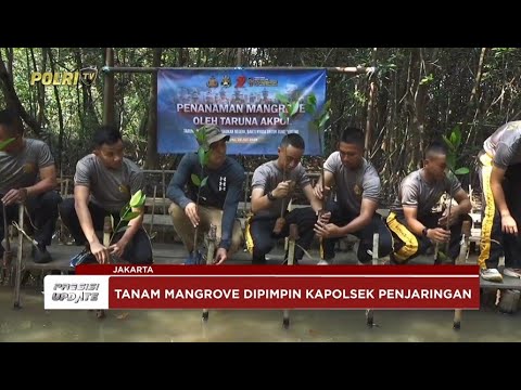 PRESISI UPDATE: TARUNA AKPOL TANAM 100 BIBIT MANGROVE DI ANGKE KAPUK 28/07/25 (14.12)