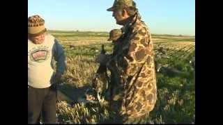 preview picture of video 'Duck Hunting in Maxbass North Dakota'