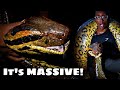 We Caught a GIANT Anaconda…(Yacumama: The Mother of the Water)