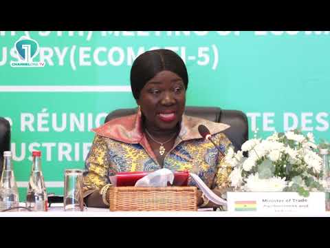 ECOWAS Must Remove Trade Barriers to Unlock Growth — Elizabeth Ofosu-Adjare