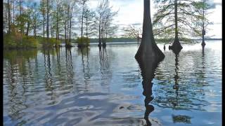 Jon brion - Paranorman movie soundtrack