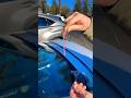 How to properly bait your circle hook with blood worms 🪱