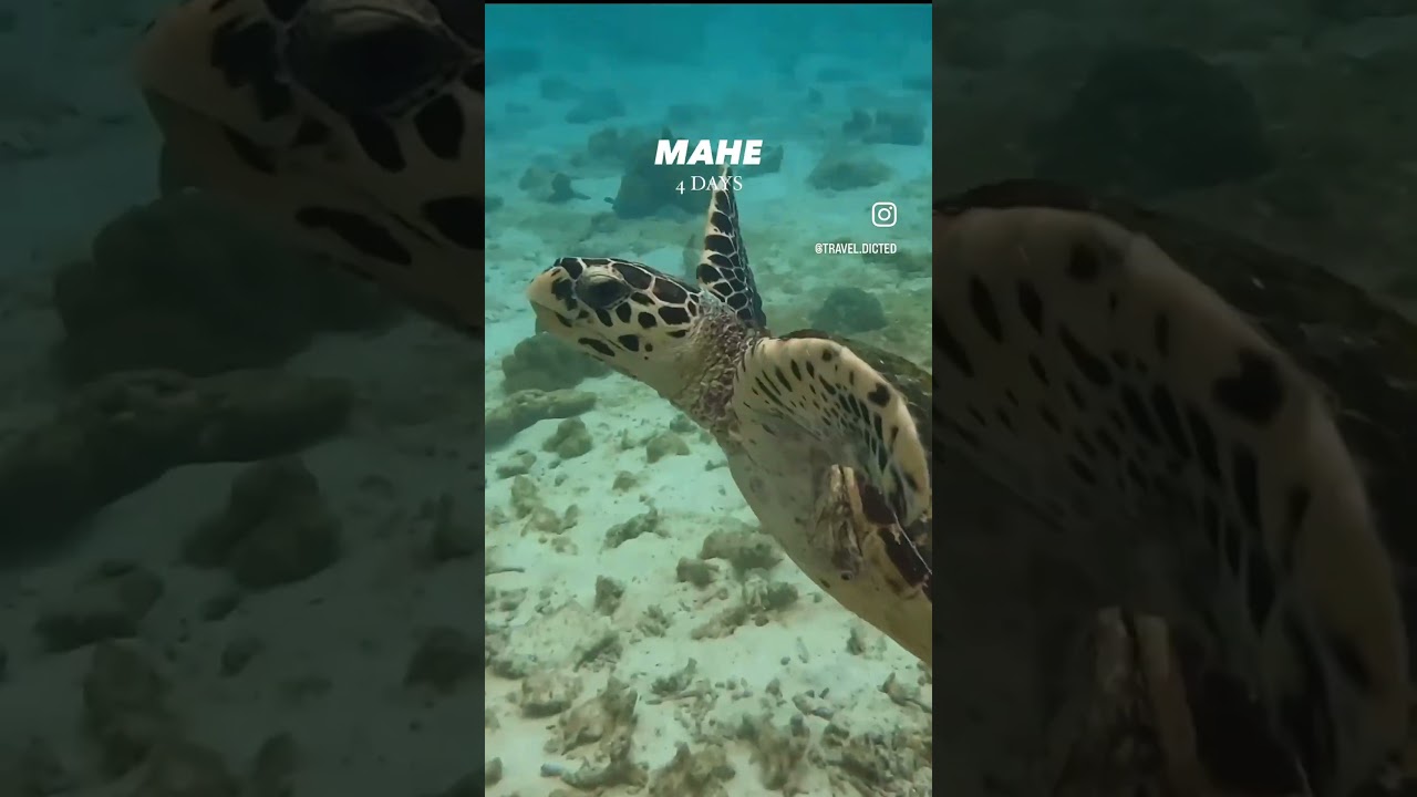 10 Day travel itinerary for the #seychelles 🗓️ #mahe #praslin #ladigue #traveltips #droneshot