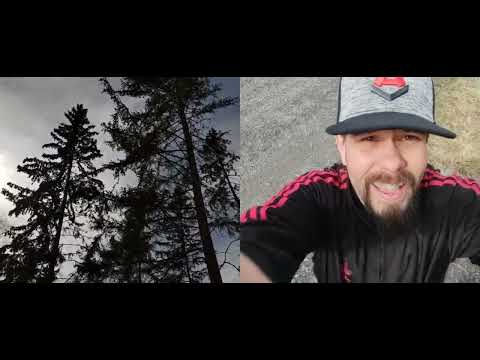 morjesta nyt on roskat viety