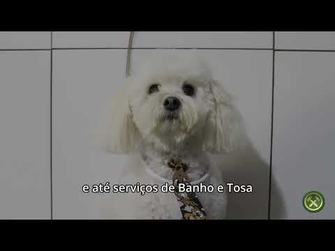 Pioneiro Remates e Produtos Agropecuários | Pinheiro Machado RS