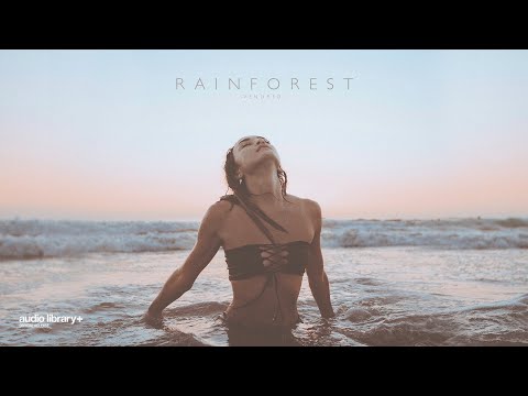 Rainforest — Vendredi | Free Background Music | Audio Library Release