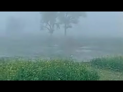 Razia Vlogs is live!