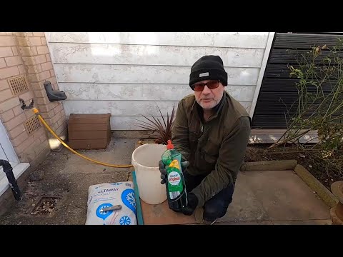 DIY Weedkiller: Cheap, Effective & Environment Friendly