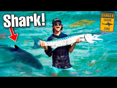 SEA MONSTER Caught In SHARK Infested Water!