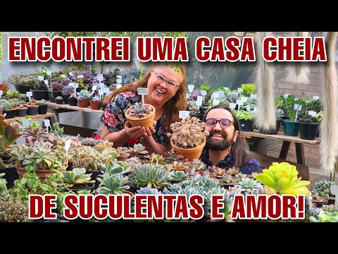 ELA COLECIONA SUCULENTAS e tem um JARDIM GIGANTE - Casa com Plantas ornamentais