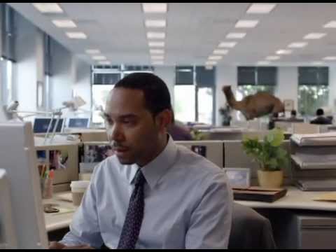 GEICO TV Spot, 'Camel on Hump Day'
