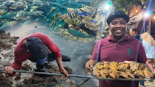 Download lagu Jackpot! Found a Lot of Fish Trapped in a Coral Hole | Catch & Cook mp3