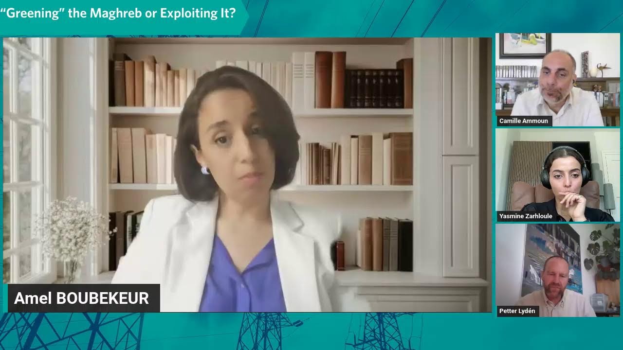 “Greening” the Maghreb or Exploiting It?
