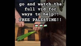 lowkey kinda greenscreen kid coded in this one but i have nothing to add #freepalestine #ceasefire