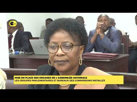 Mise en place des organes de l'assemblée nationale