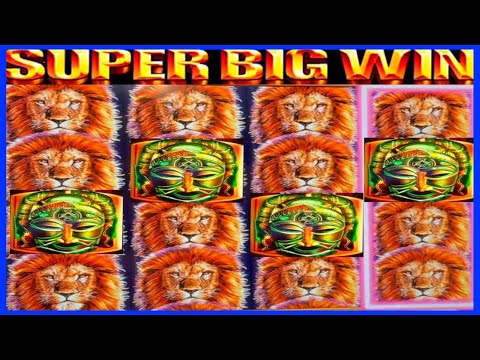 **BIG WINS!!!** LIONS 4 DAYS! King of Africa Slot Machine 🦁✈️ #slots
