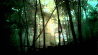 [問卦] 有年輕人遇過魔神仔的故事嗎？