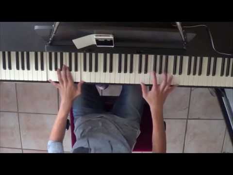 HIIO ft Danyka Nadeau - Otherside Piano Cover [FullHD]