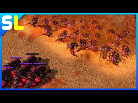 THE FORBIDDEN SPELL HAS BEEN USED!!! - SC2 Best/Funny Moments