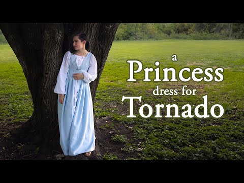 Princess Adjacent: An Italian Renaissance (ish) Dress