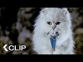 Snowbell Saves His Mouse Friend STUART LITTLE Clip 1999 Jonathan Lipnicki Michael J Fox