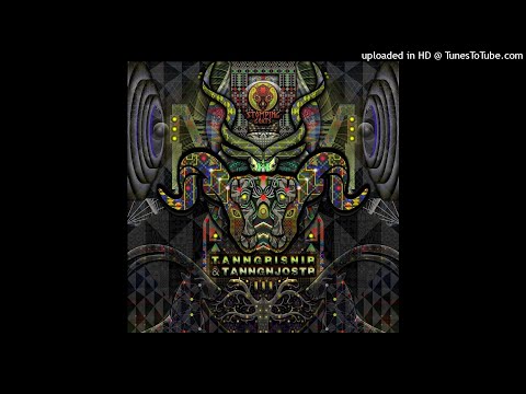 Vox Fabri - Back to the Roots