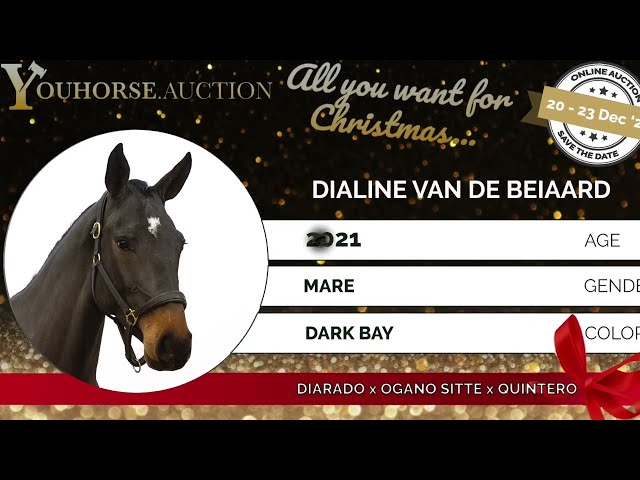 Dialine under the saddle