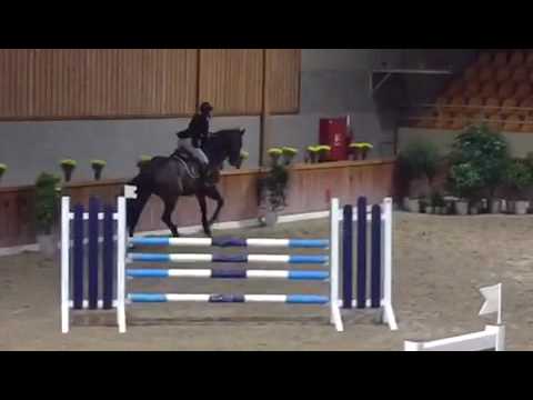 6y old mare by Diarado