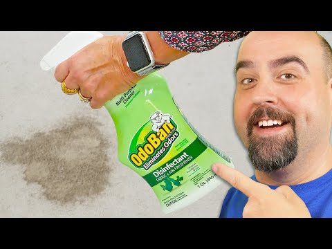How to Get Urine Smell Out of Carpet with OdoBan [Get Rid of Cat Pee Smell]