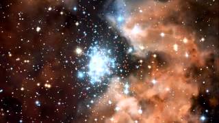 Instant Karma - Scattered Trees