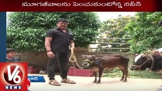 Special Story on Animal Lover Naveen | Hyderabad | V6 News