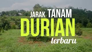 Download lagu UPDATE 2022! JARAK TANAM DURIAN TERBARU YANG IDEAL ATAU MINIMAL @aguswidodo9987 mp3