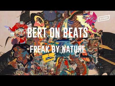 Bert On Beats - Freak By Nature