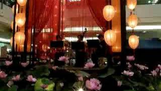 Chinese Instrumental Performance Song 1